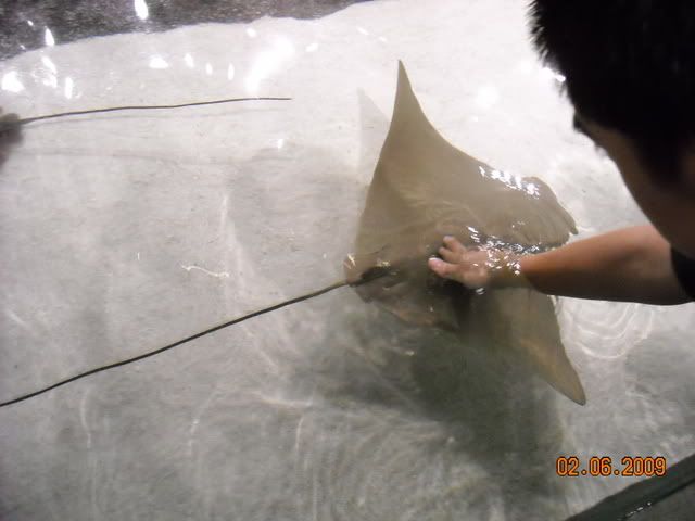 DSCN0122.jpg