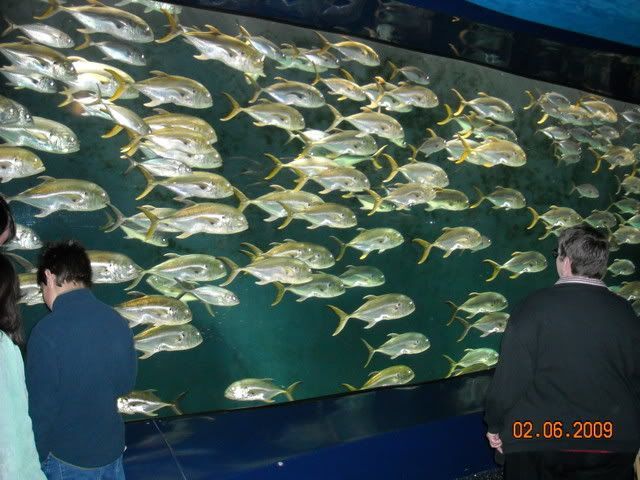 DSCN0085.jpg