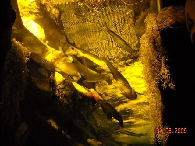 DSCN0134.jpg