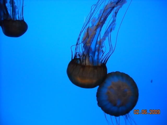DSCN0157.jpg