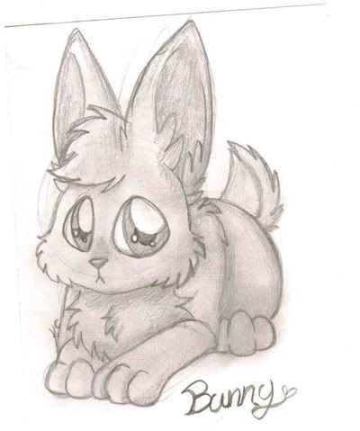 Bunny.jpg