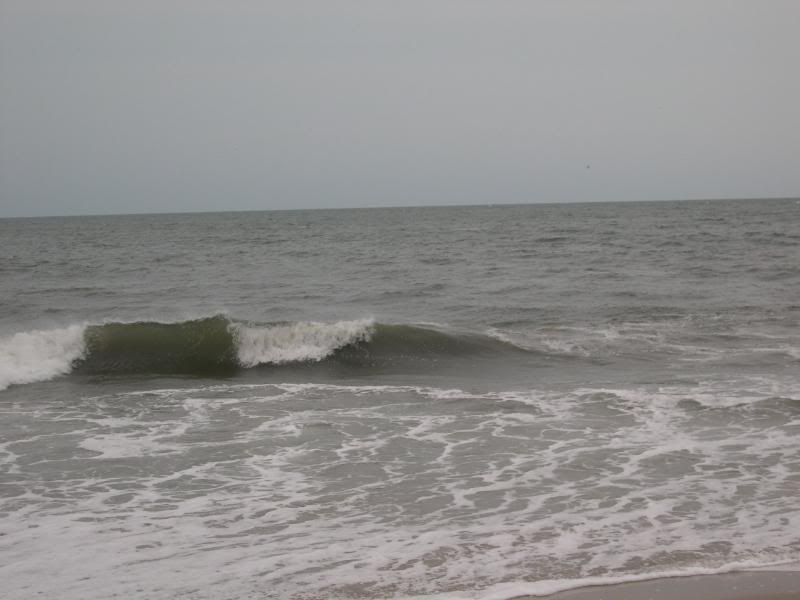 DSCN1719.jpg