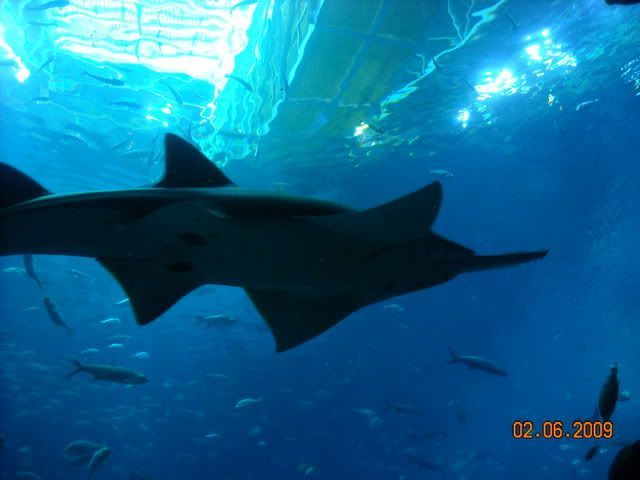 DSCN0098.jpg