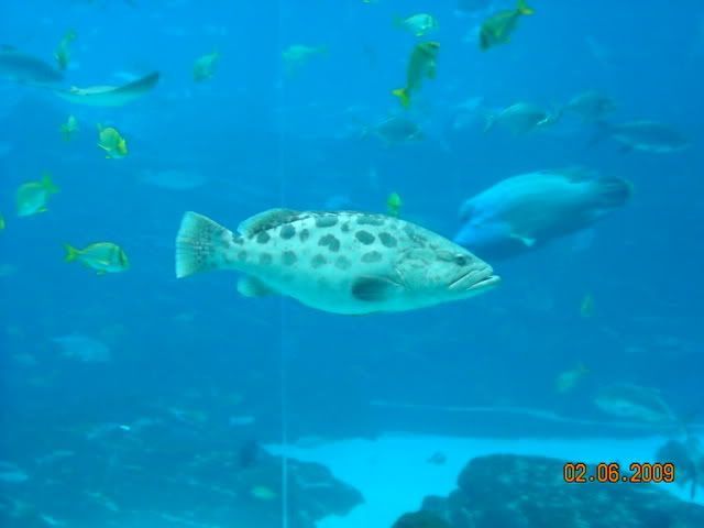 DSCN0104.jpg