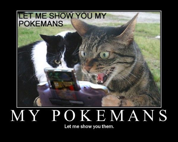 pokemans.jpg