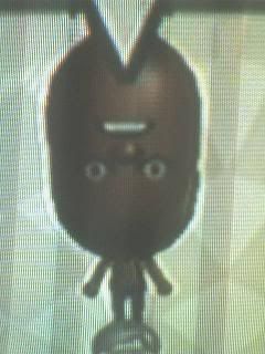 mii1.jpg