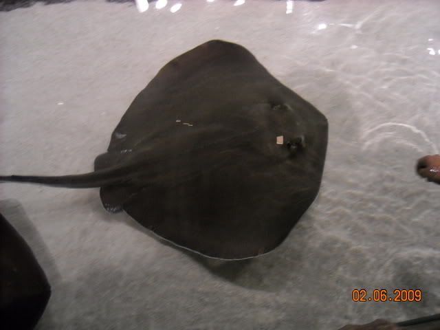 DSCN0123.jpg