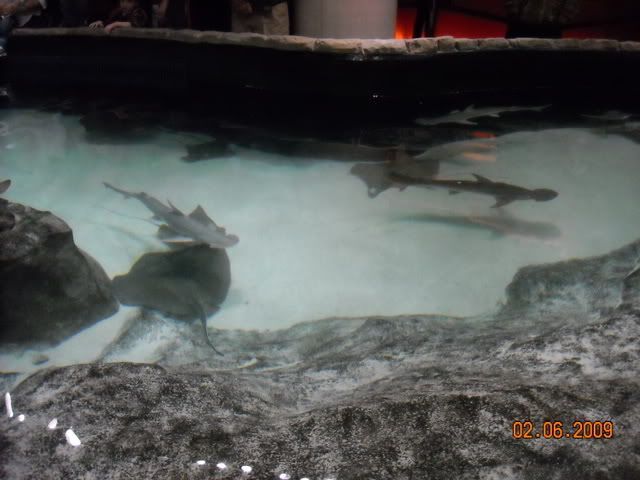 DSCN0124.jpg
