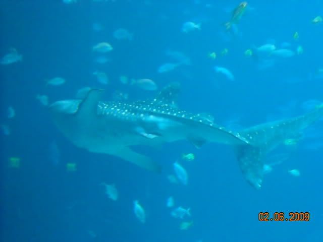DSCN0100.jpg