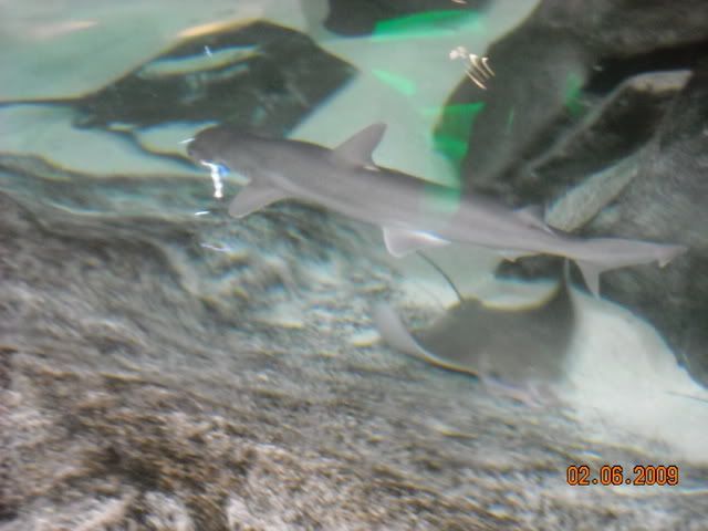DSCN0120.jpg
