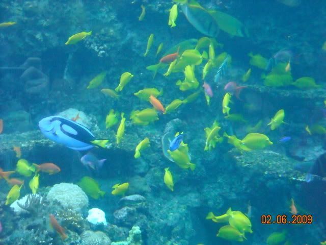 DSCN0178.jpg