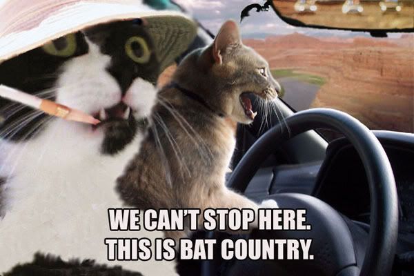 bat_country-1.jpg