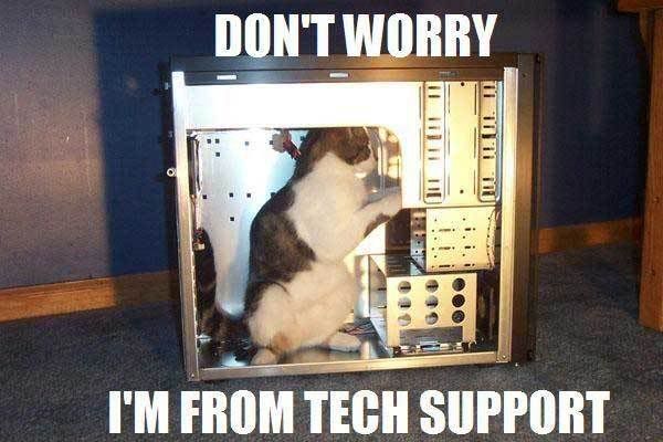 techsupport.jpg