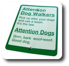 signs_dog2.jpg