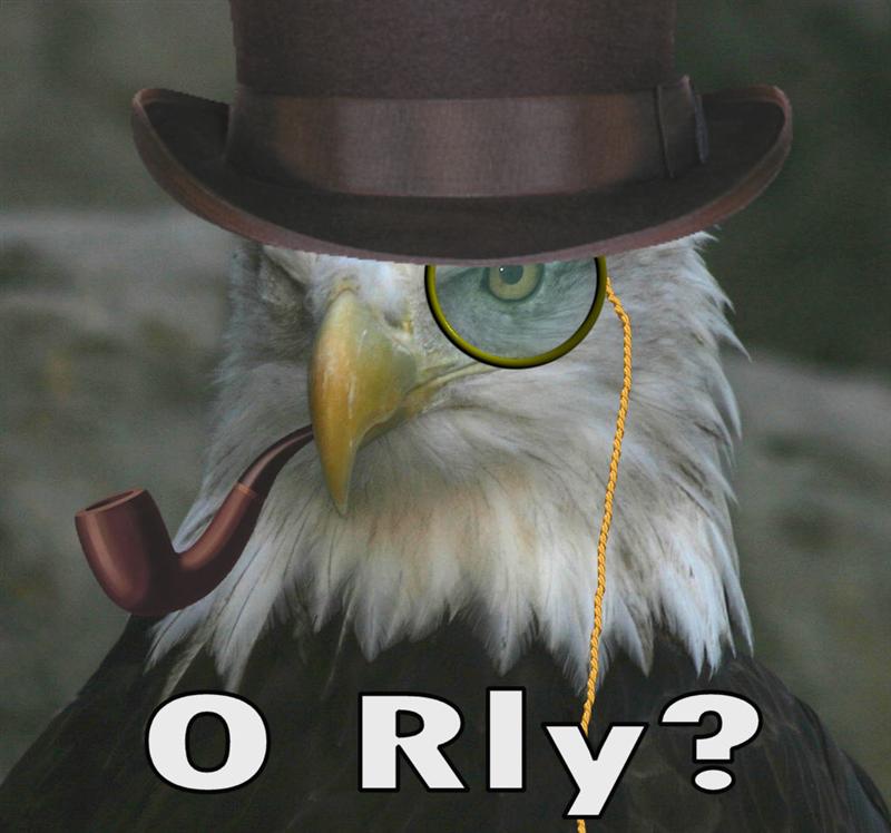 orly+(1).jpg