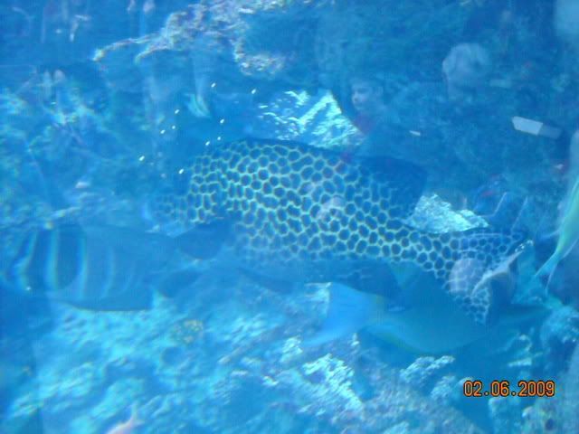 DSCN0173.jpg