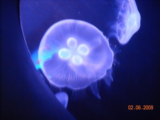 DSCN0169.jpg