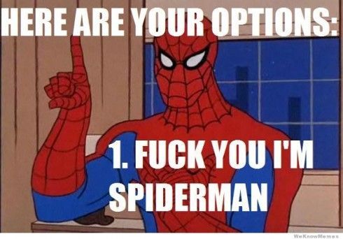 spidey5-490x342.jpg