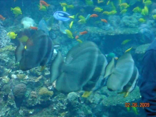 DSCN0180.jpg