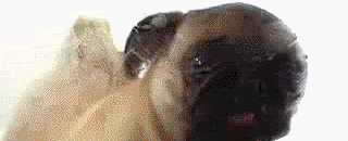 idjut-wii-ssbb-clean-sig.gif