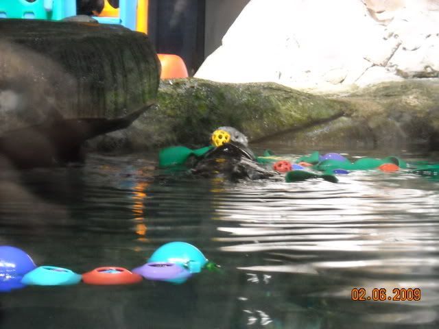 DSCN0114.jpg