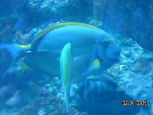 DSCN0171.jpg