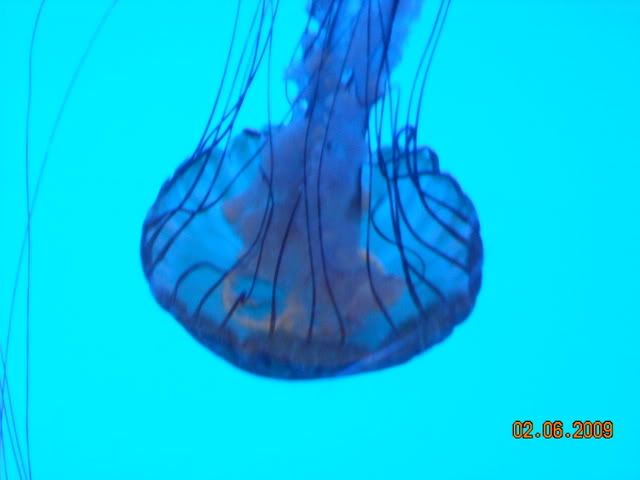 DSCN0159.jpg