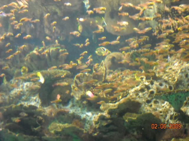 DSCN0166.jpg