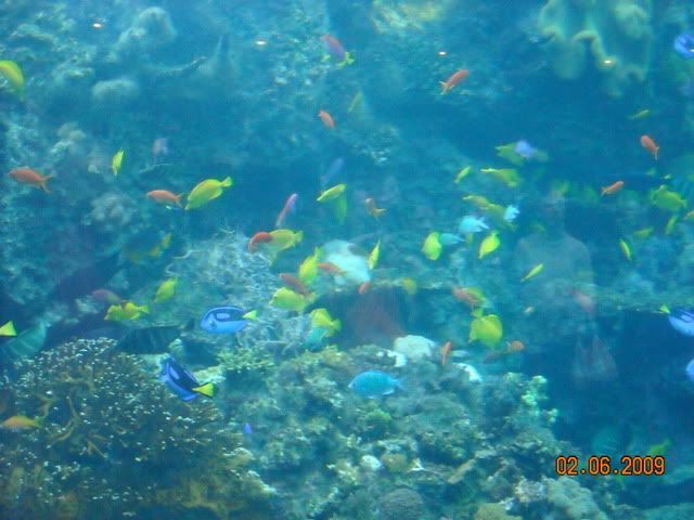 DSCN0179.jpg