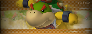 newsigcopy.png