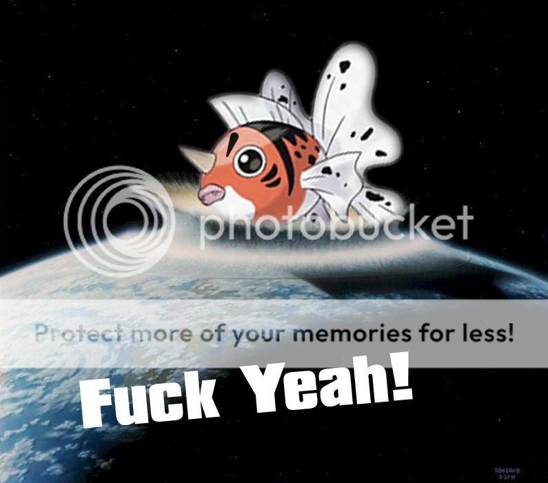 fbho34gt8024t834h3t5h408thb80seaking.jpg