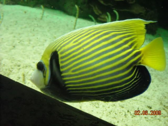 DSCN0155.jpg