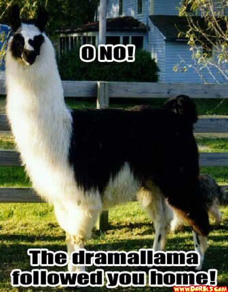 Dramallama.jpg