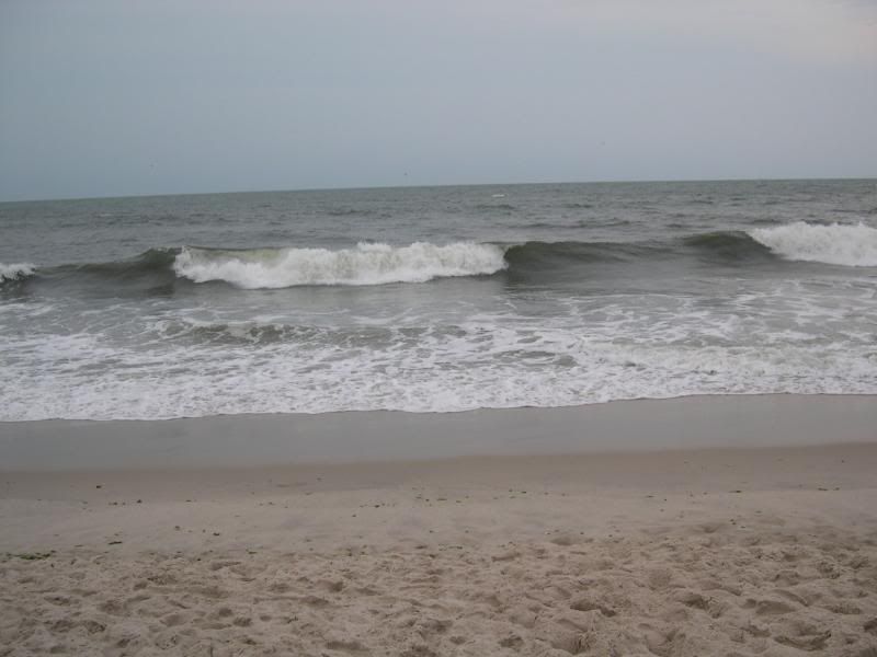 DSCN1717.jpg