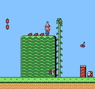 super-mario-bros-2-nes-potion.jpg