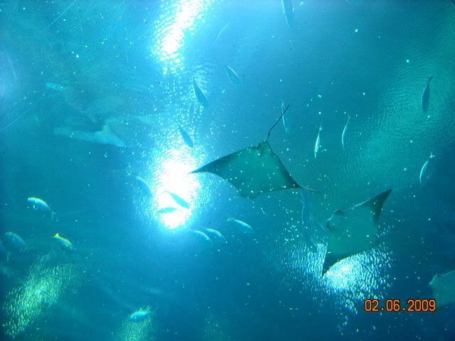 DSCN0094.jpg