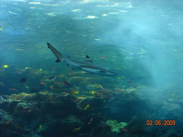DSCN0164.jpg