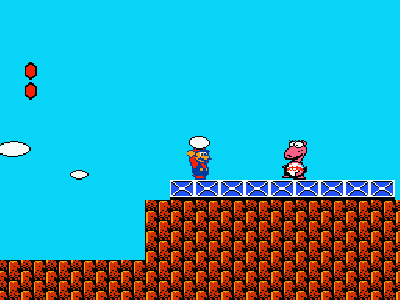 smb2_birdo_display.png