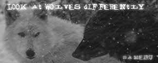 Wolf-resize.jpg