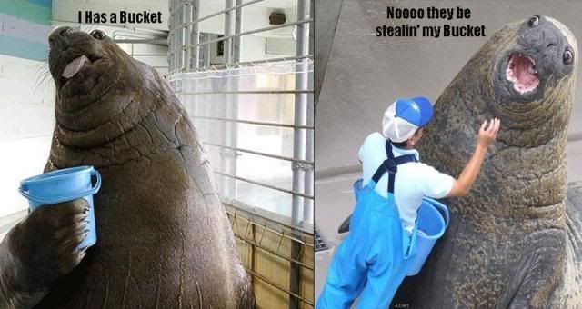 theybestealinmybucketseiz9.jpg