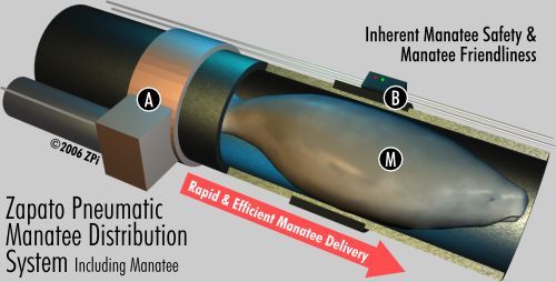 pneumaticmanatee.jpg