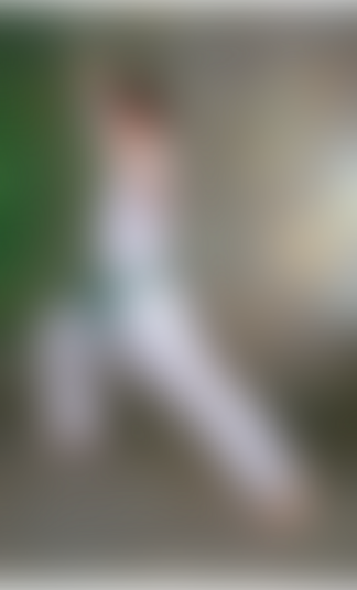 lastpic-1.png