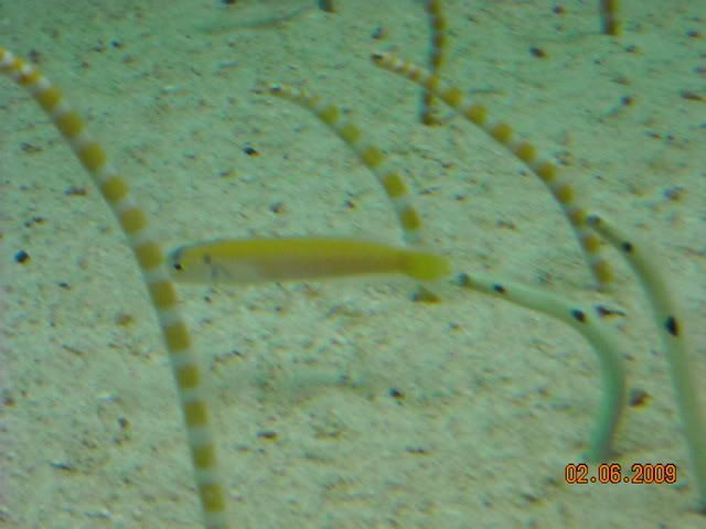 DSCN0152.jpg