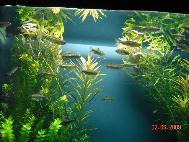 DSCN0132.jpg