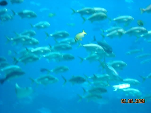 DSCN0105.jpg