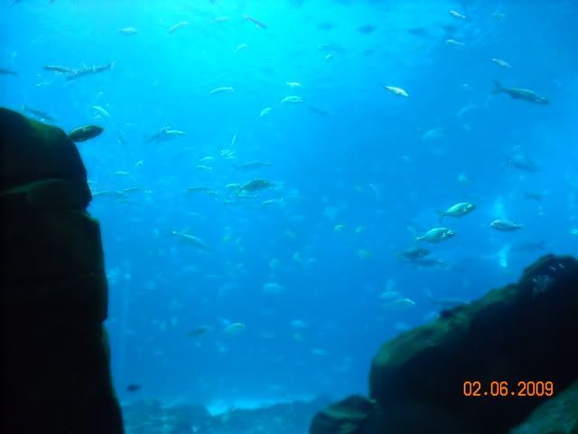 DSCN0097.jpg