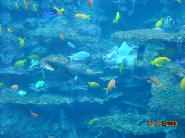DSCN0177.jpg