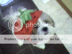 Image1-2.png