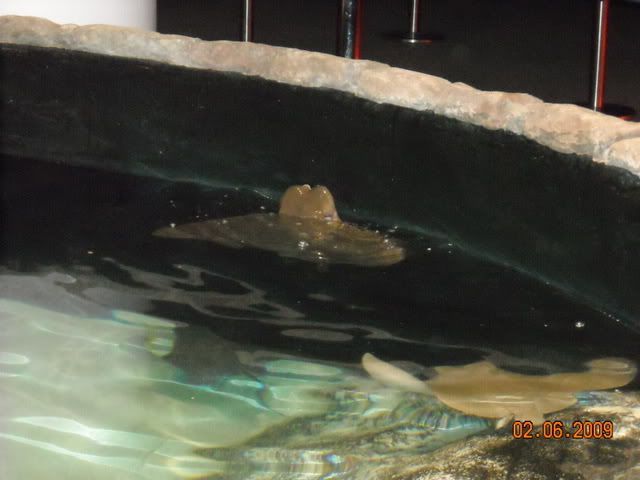 DSCN0125.jpg