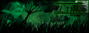 Link.png